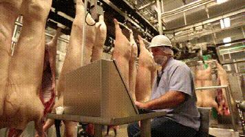 为什么中国每年从美国大量进口肉,为什么中国进口俄罗斯大增