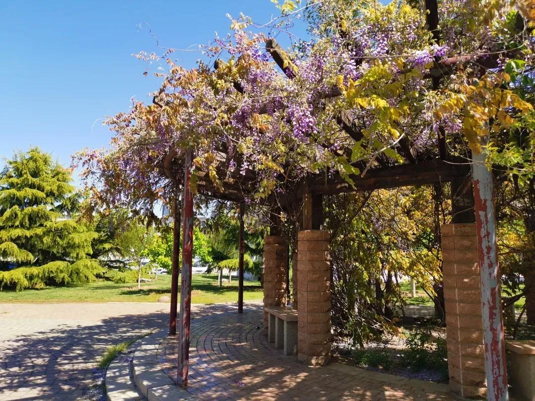 南开大学滨海学院天津排名,天津曾经的滨海学院