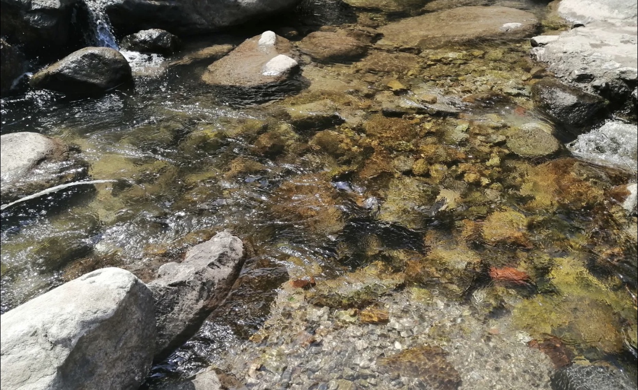 秦岭自带食材烧烤的地方,秦岭附近可以烧烤的地方