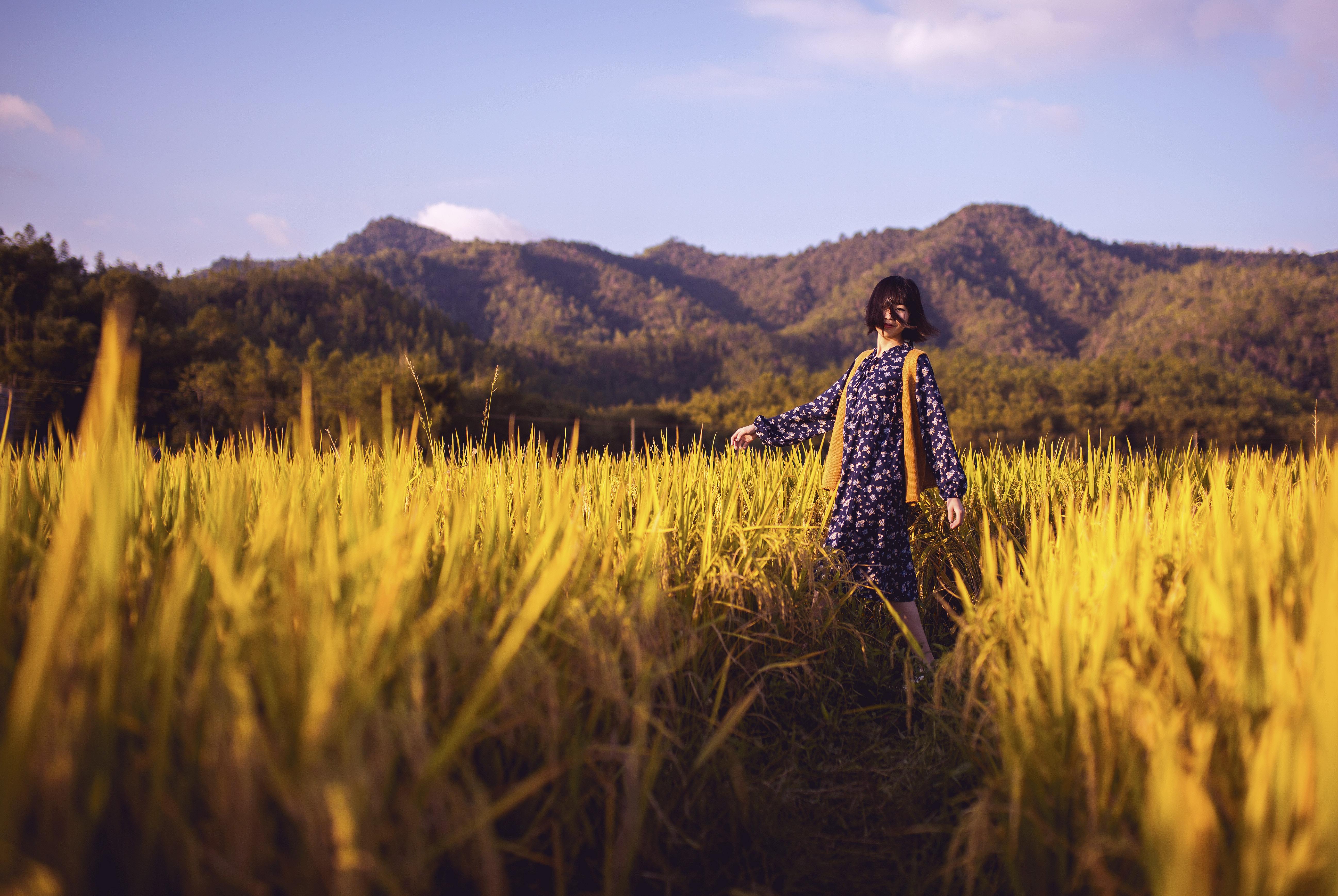 晏殊最经典十首诗解析,晏殊最经典十首诗及赏析