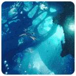 拼多多链接到底是什么,朋友给我发了一个拼多多链接