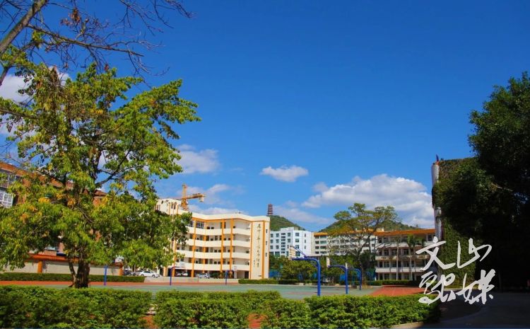 文山市面向全国招聘教师，370个岗位在城区！速扩散