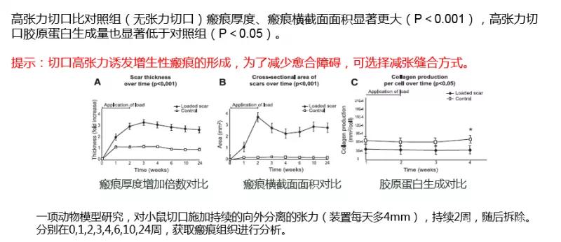 临床清创原则,临床清创
