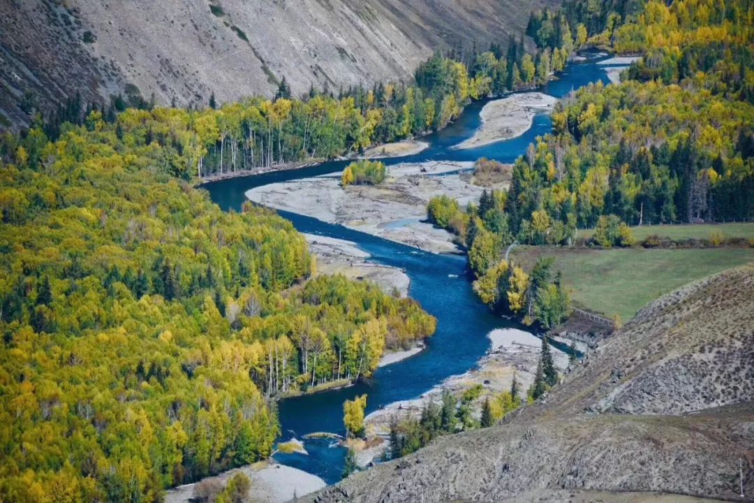 锐丰优选—库尔勒香梨,梨香十足,咬一口,果汁直接淌进喉咙里