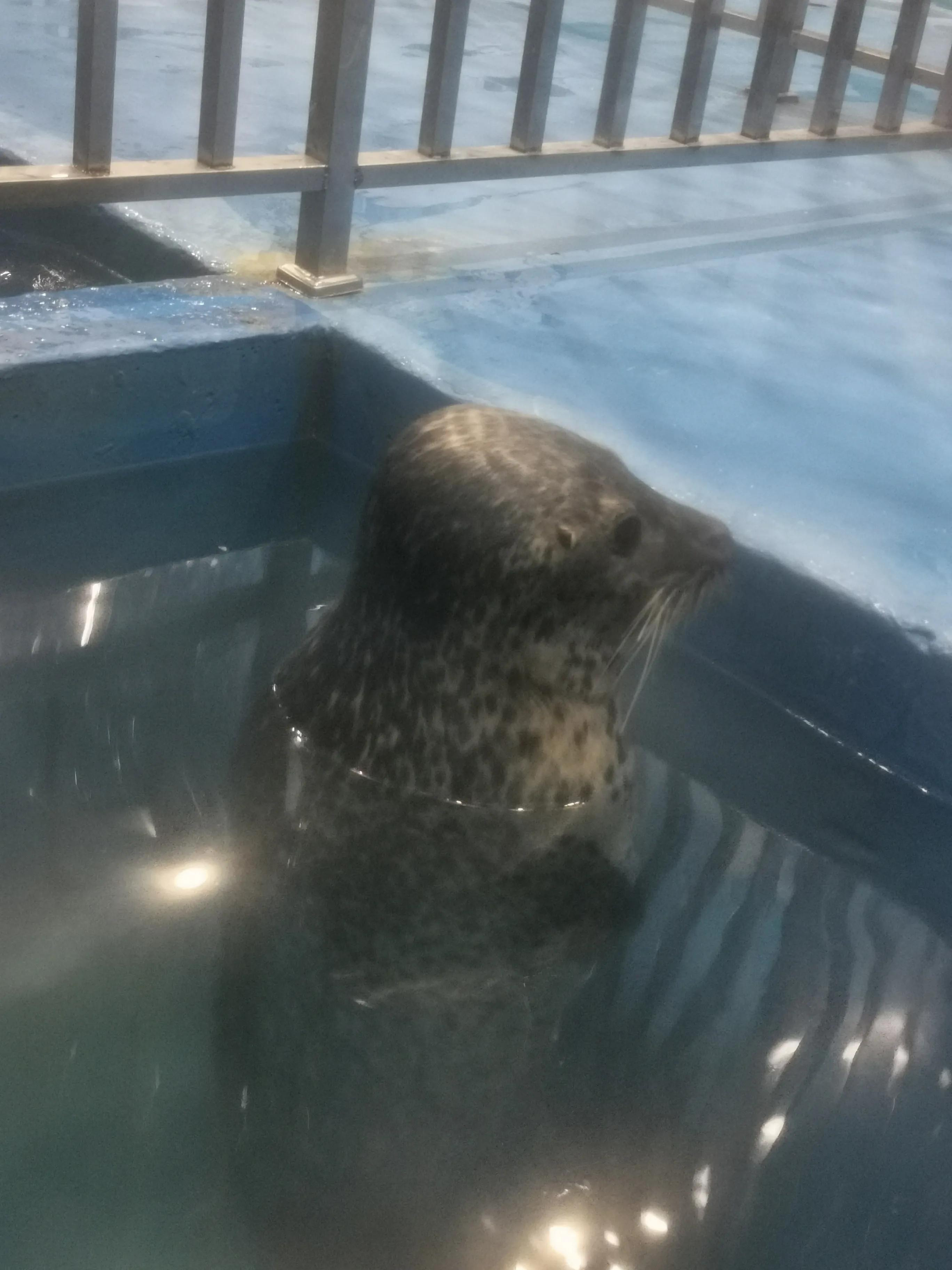 璧拌繘娴锋磱鍔ㄧ墿娴峰簳涓栫晫,鍙傝娴峰簳涓栫晫娴锋磱鍔ㄧ墿瑙嗛