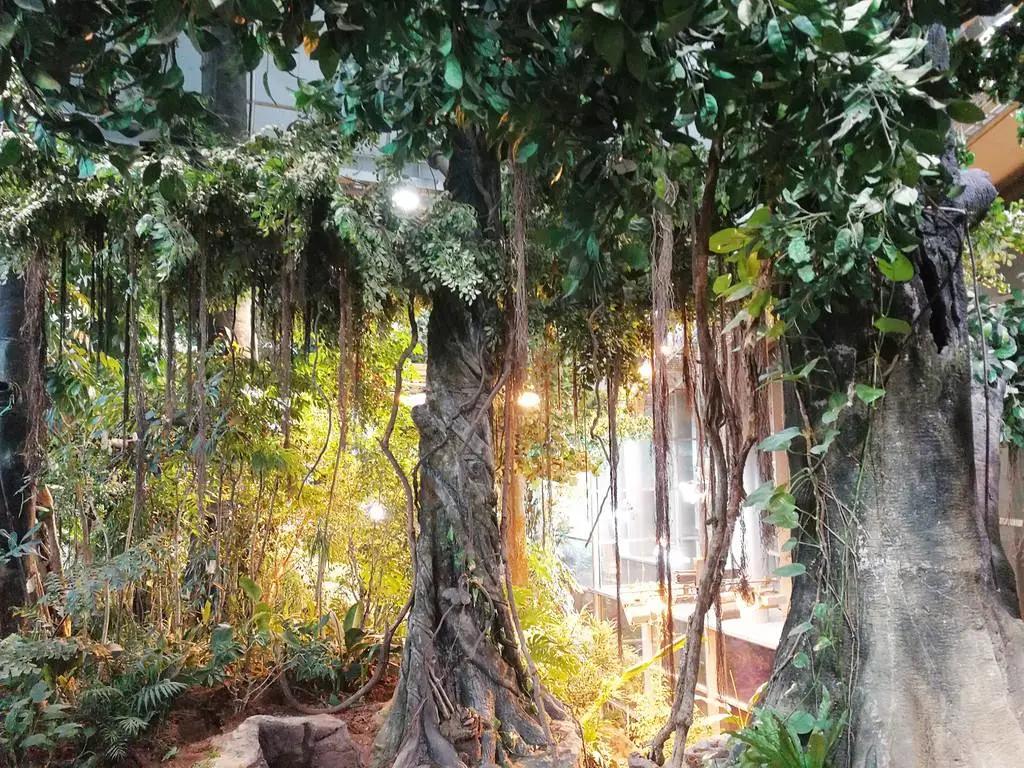 上海科技馆景点大全,上海科技馆景点介绍