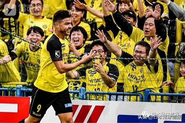 日职联2022巡礼鹿岛鹿角,日职联巡礼2024