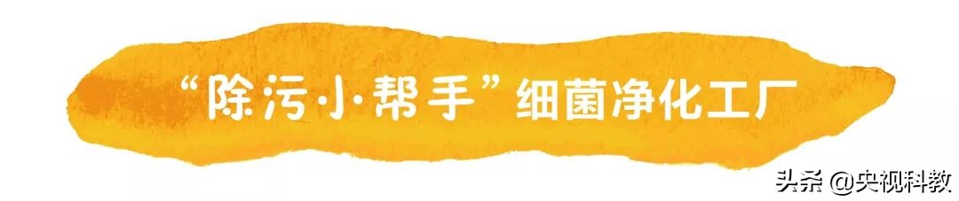 杩欐槸浣犳兂璞′腑鐨勬幢娴峰悧,浣犵湅鍒扮殑娲辨捣