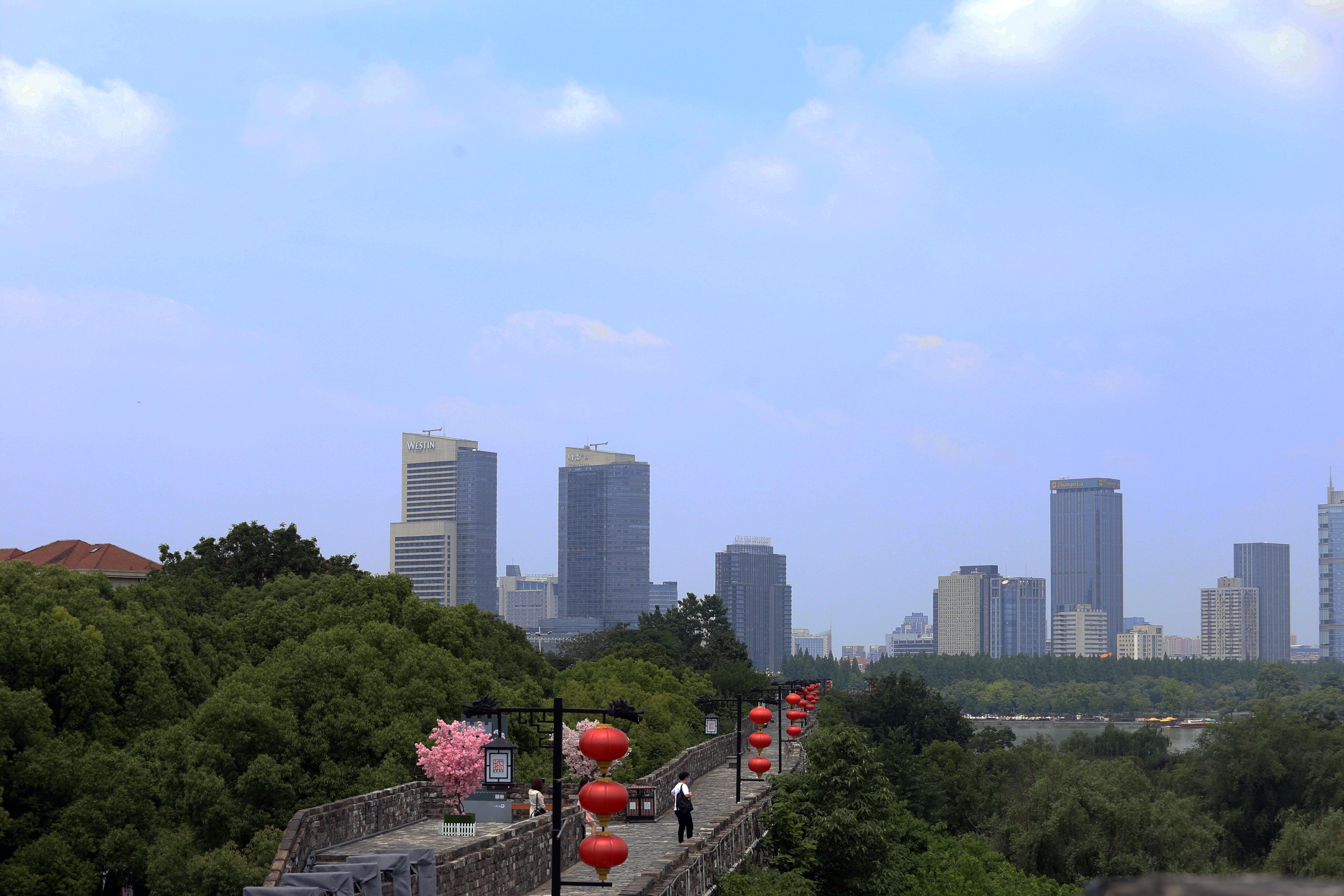 南京的初夏图片,初夏南京风景图片