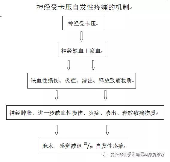 尺神经卡压自我恢复锻炼,枕大神经卡压自我恢复锻炼