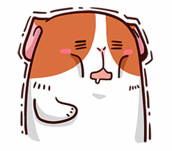 cf手游最终12时试玩,cf手游体验服末日求生12小时