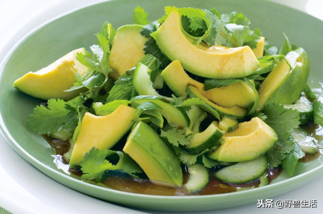 牛油果是真有营养还是虚假宣传,被捧上天却毫无作用的食物