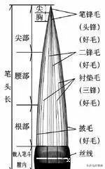 毛笔怎么挑选小视频,斗笔毛笔怎么挑选