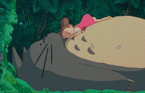 宫崎骏龙猫中一共有多少只龙猫,宫崎骏龙猫动画电影大全