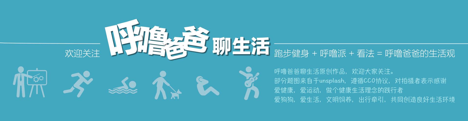 房间如何清理宠物毛发,养宠物家里清洁必备物品