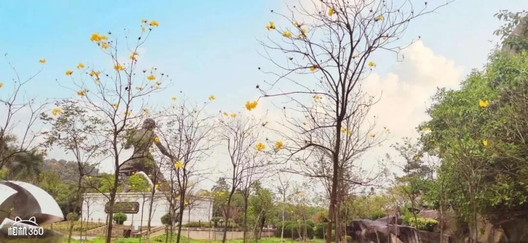 佛山市景区全免费开放,佛山南海多个场馆恢复开放