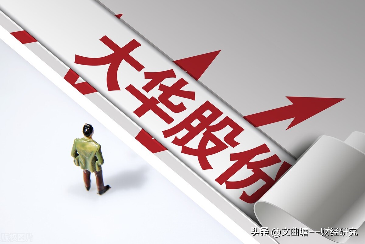 大华股份经营品种及前景,大华股份前景