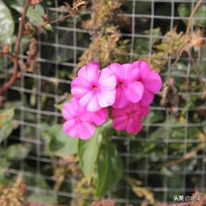 庄河步云山温泉,庄河步云山大雨