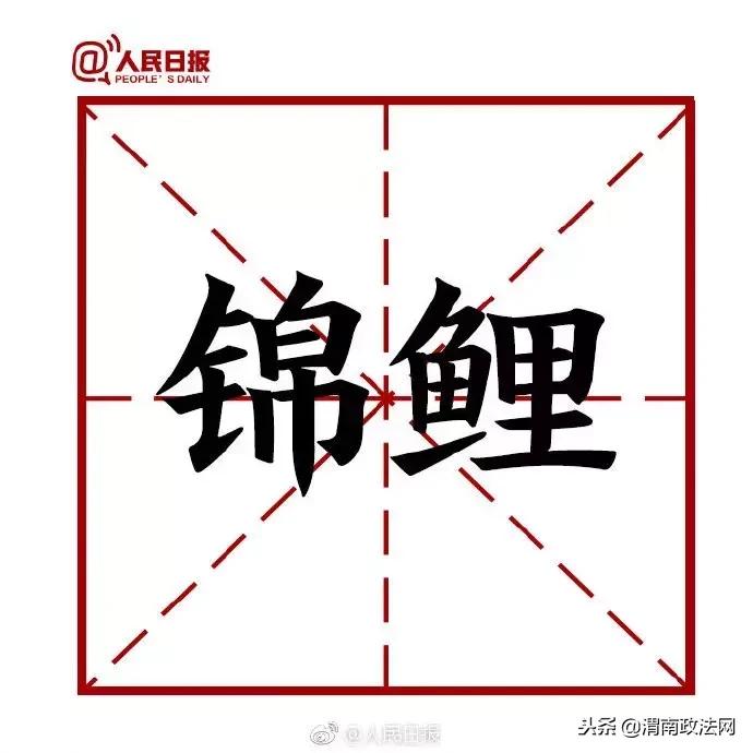 2018最常用的网络用语,人民日报2021年度十大网络语