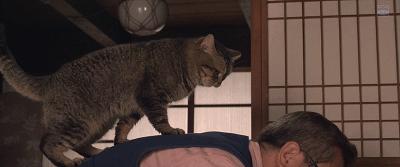 拯救不开心之类电影推荐,十部让人内心平静的电影