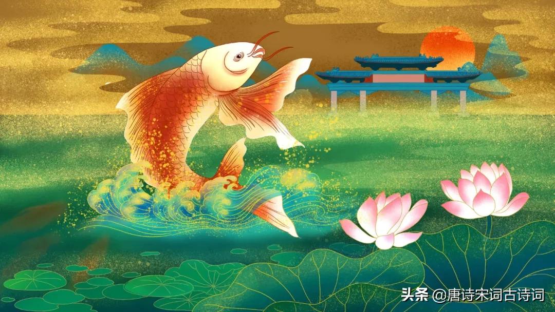 波心举网星光乱，跃出鲤鱼长尺半