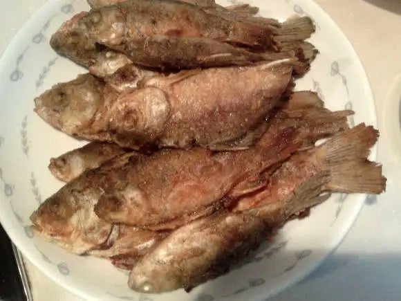 钓到的野生鲫鱼为什么水那么脏,煤油味鲫鱼