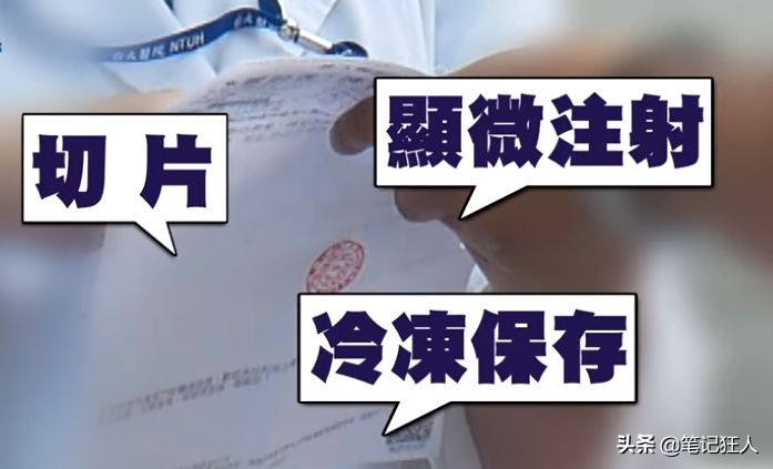 女的试管需要做的准备,女性备孕试管