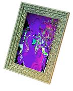 明日方舟灰雾迷境,明日方舟灰蕈迷境数据统计