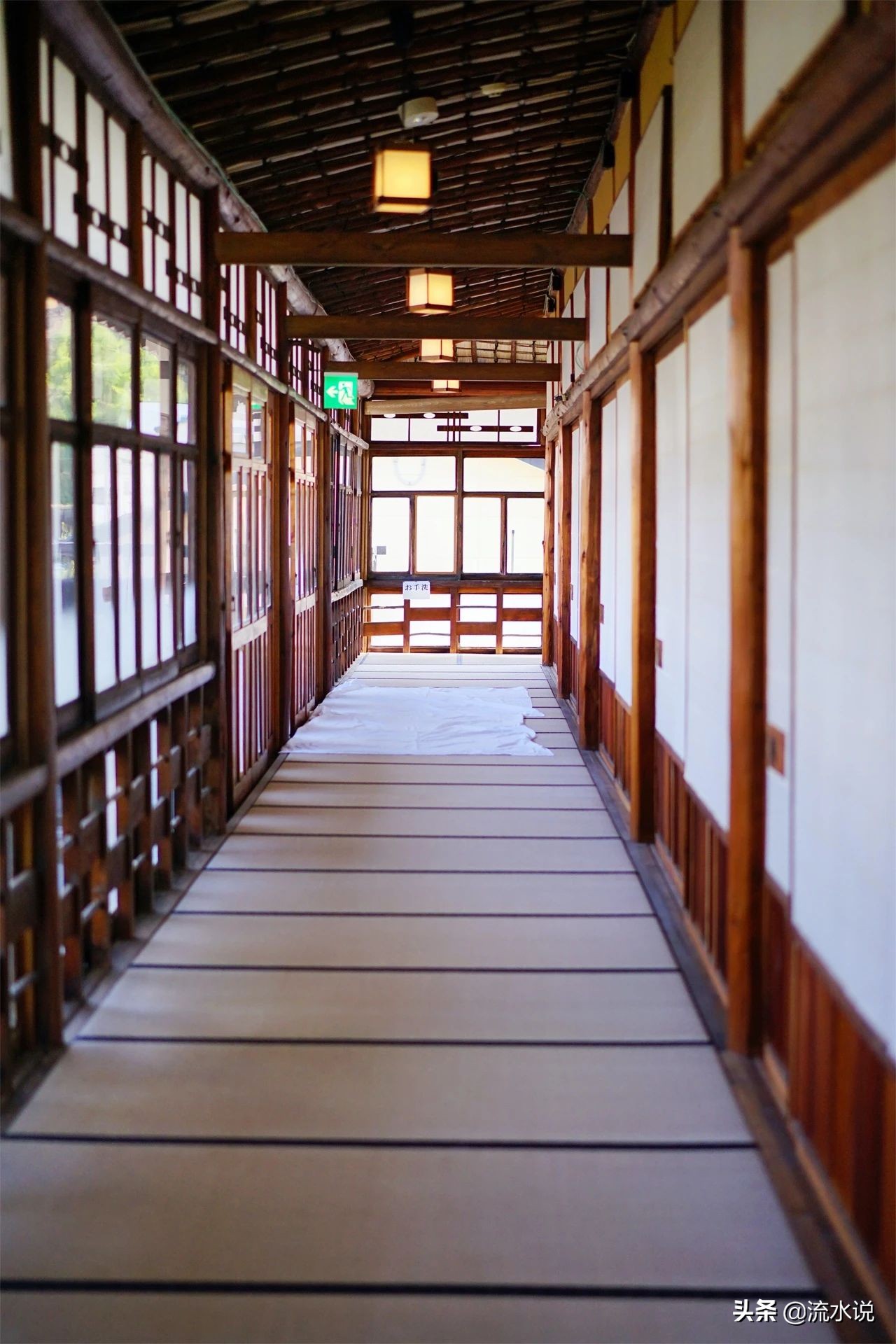 日本哪里的柚子好吃,日本北九州柚子