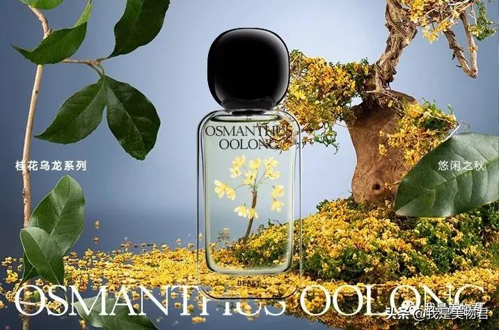 秋天香水橘香,秋季香水