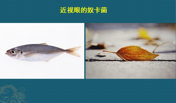 这个细菌提醒你，别买病死的鱼，它是个吃草的细菌，后来学会吃鱼