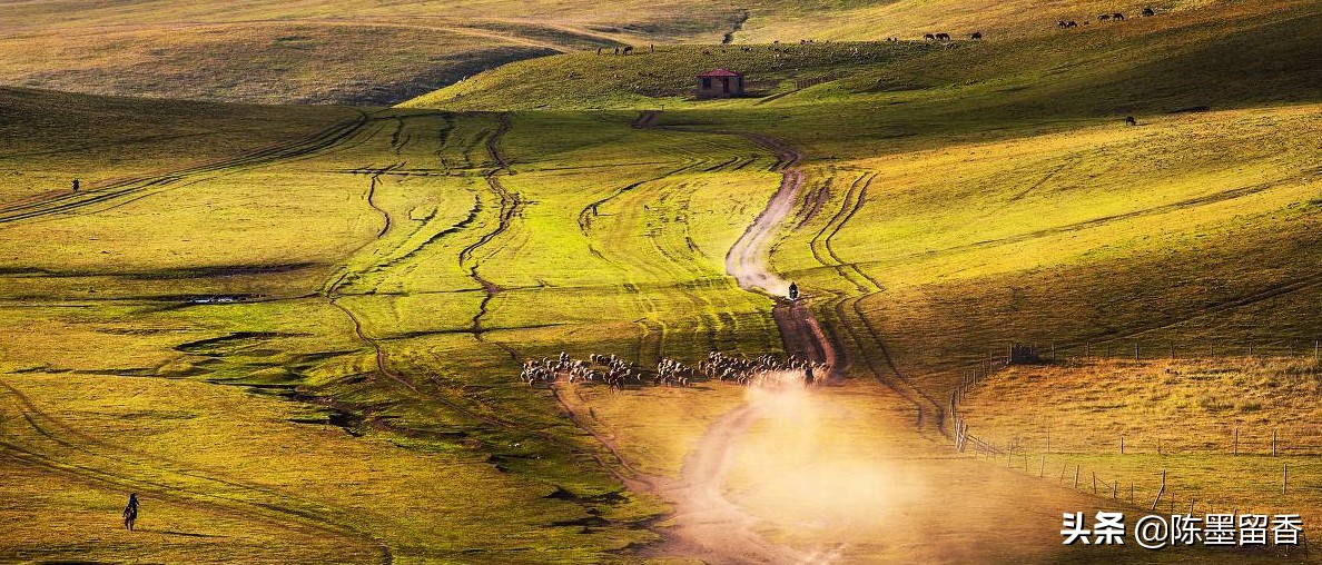 为什么中国人习惯叫外国人的姓,小和晓取名的区别