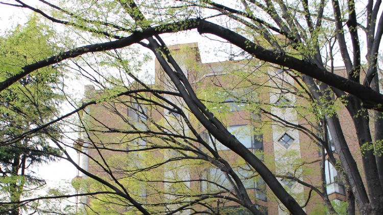 日本帝国大学最新排名,日本帝国八所是哪八所大学