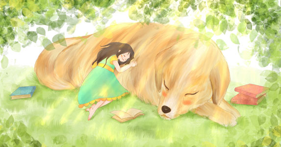 故事：她满小区贴寻狗启事，不想狗没找到，找来个帅男友