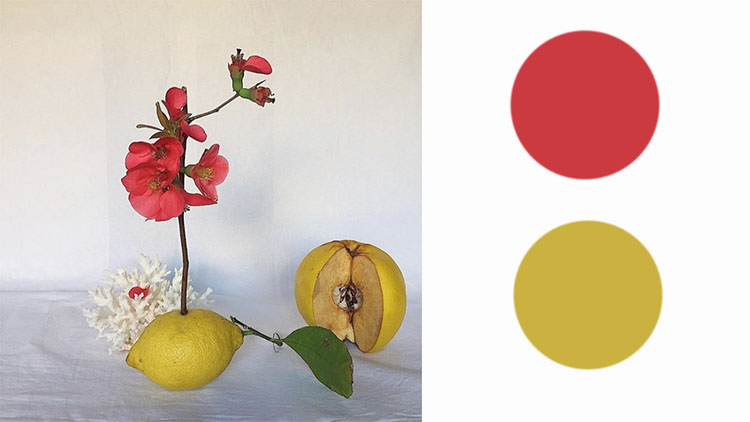 新手眼影不会配色买什么眼影好,新手都能学会的日常眼影建议收藏