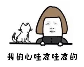 为什么狗市买的狗活不过一星期,为什么狗市买的狗说活不过三个月