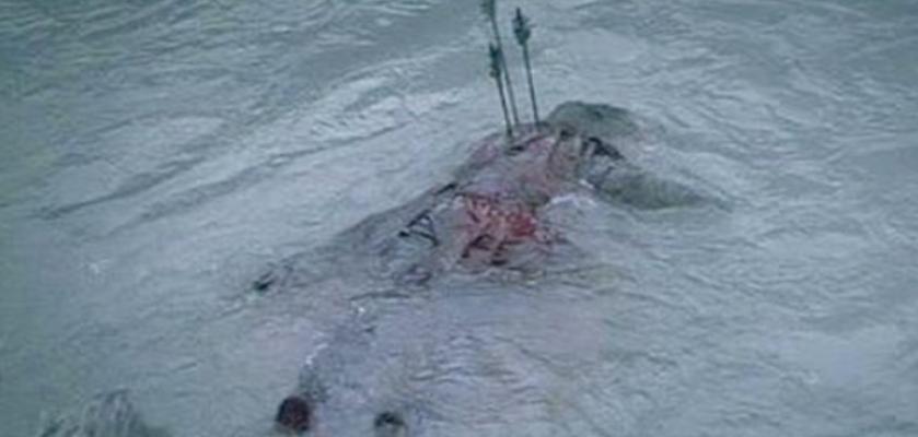 十部顶级神作9.5评分电影不恐怖,好莱坞十大烧脑神作电影