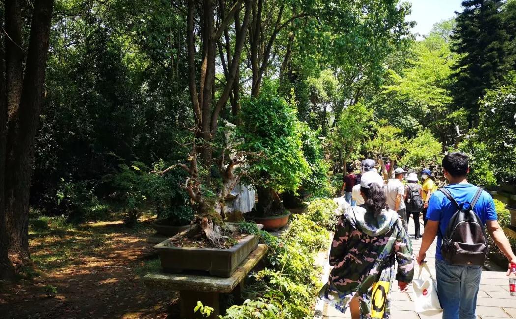 贵州黄果树瀑布旅游攻略必去景点,贵州旅游攻略黄果树瀑布