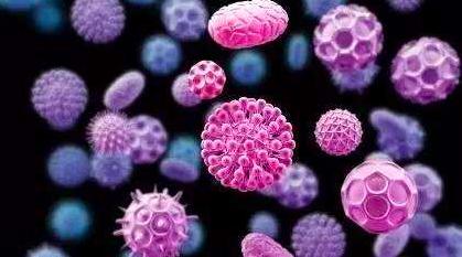 新冠病毒到现在地球上死了多少人 (新冠病毒地球一天死多少人)