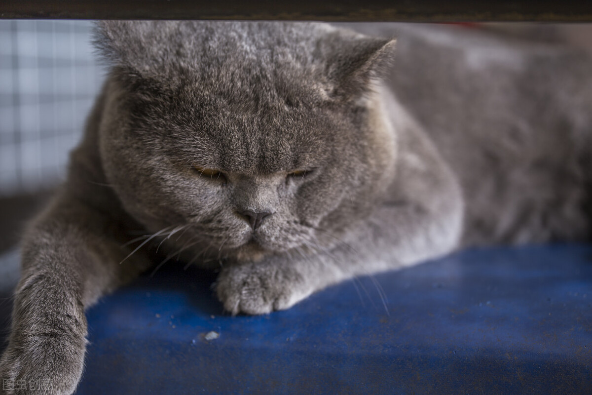 啥都不想干对啥都没兴趣,对什么都提不起兴趣什么都不想做