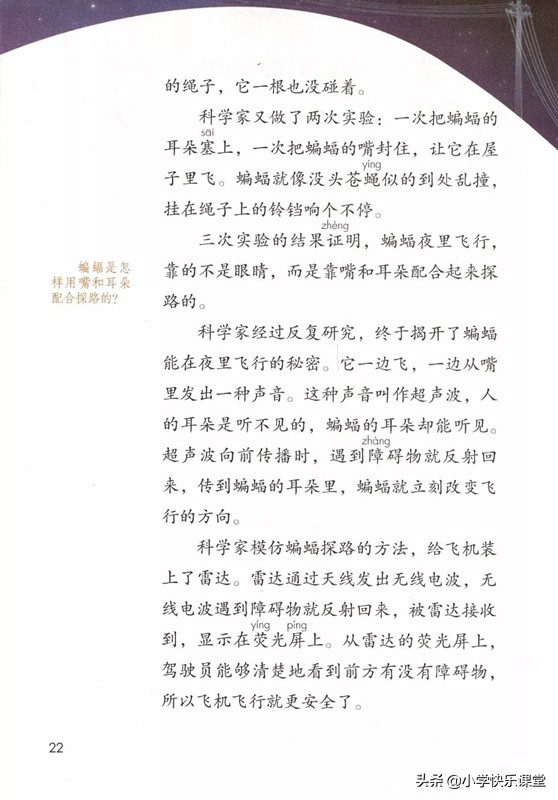 四年级上册语文蝙蝠和雷达课后题,部编版四年级上册语文蝙蝠和雷达
