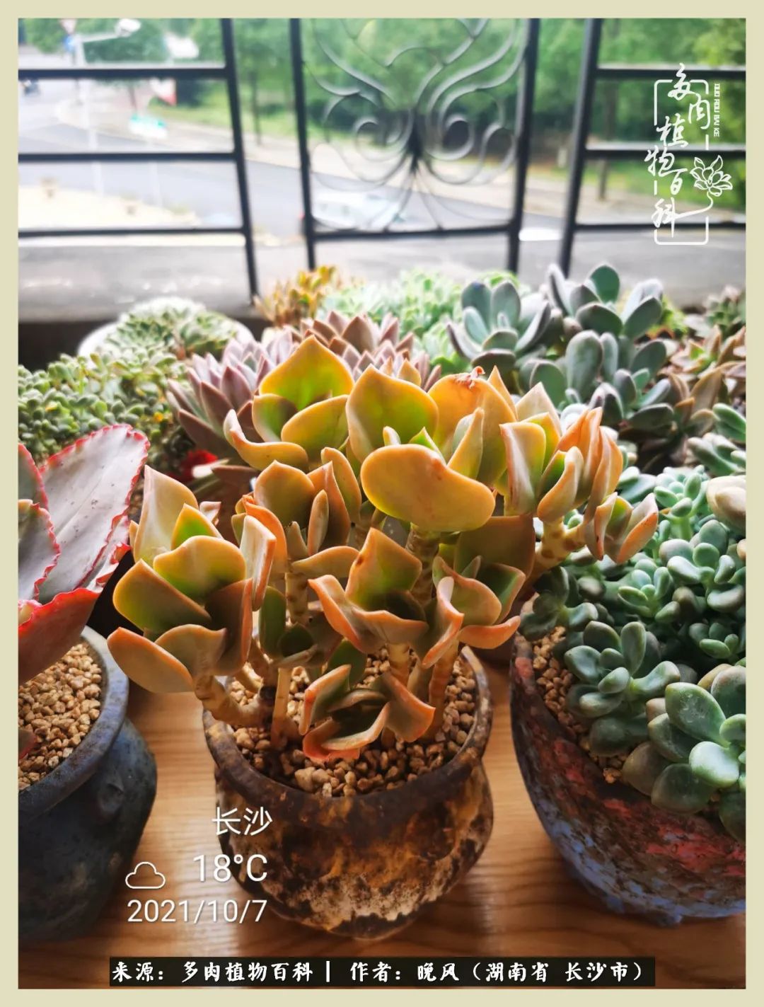 摇身一变成了奶爸,摇身一变成为打工人