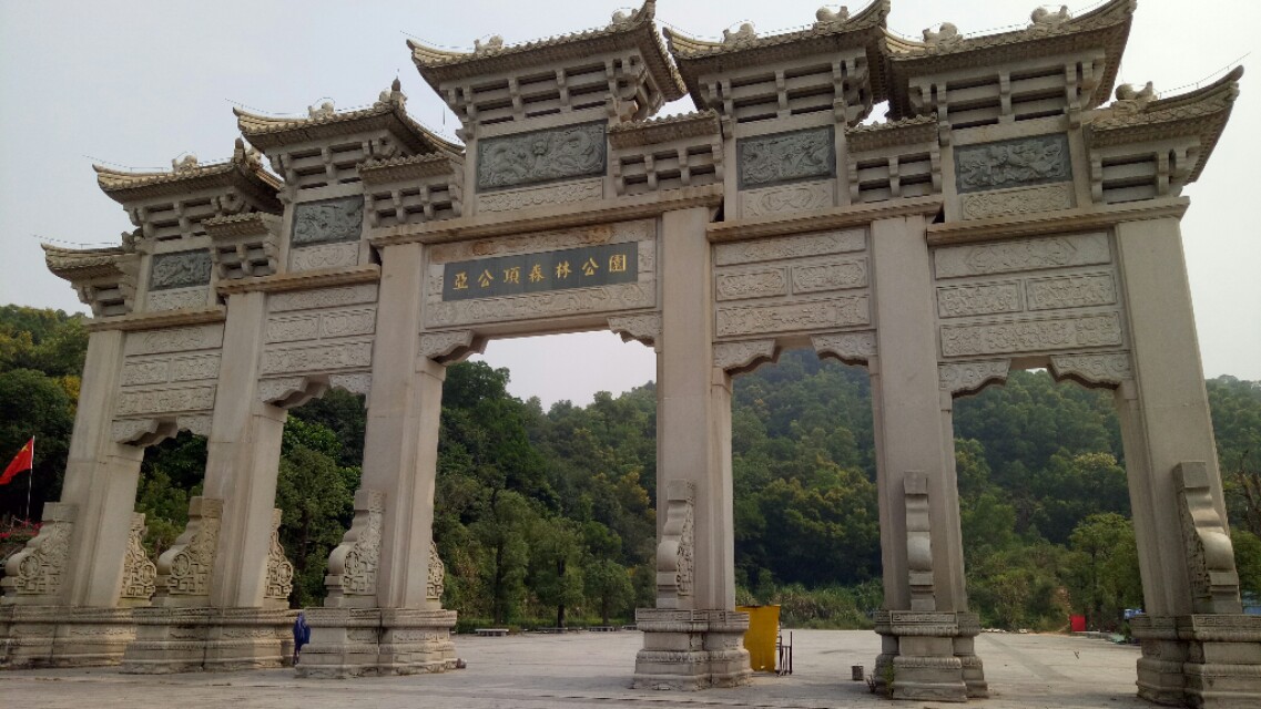 智者乐山仁者爱水如诗,智者乐山仁者爱水视频