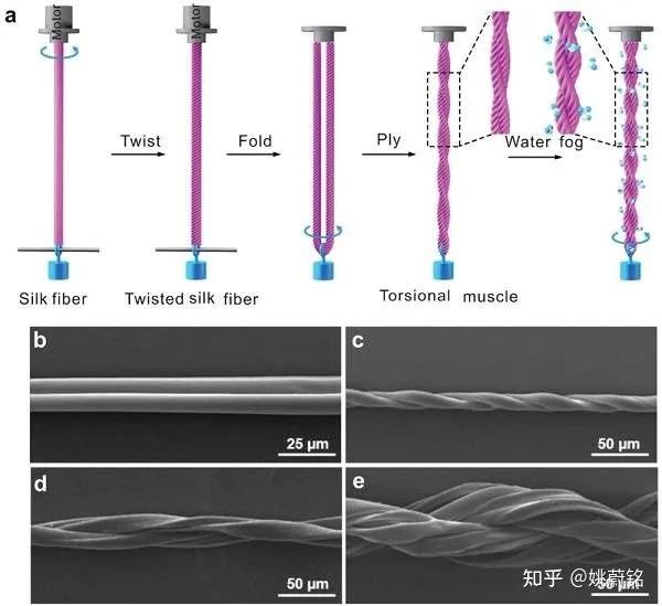 毛巾怎么洗又干净又软又不掉毛,新买的毛巾掉毛怎么处理