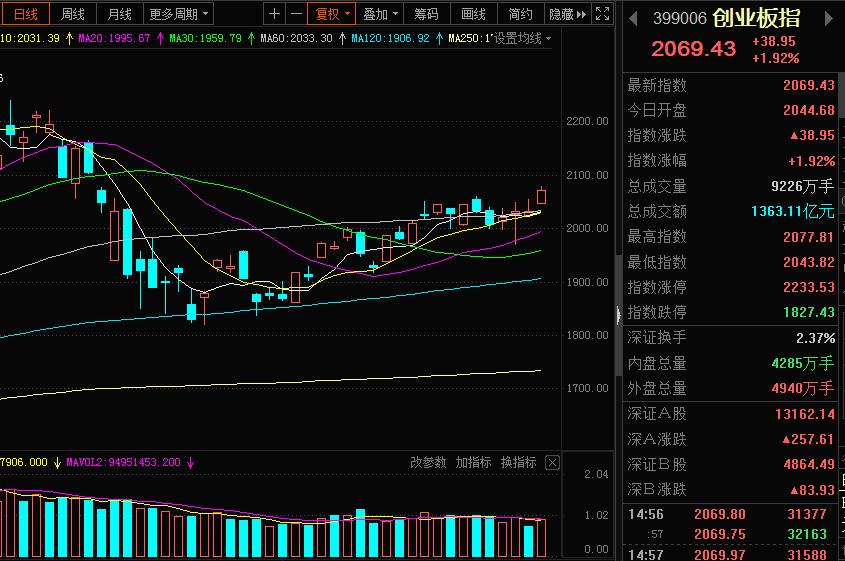 芯片龙头股有哪些002236,半导体芯片概念龙头股一览
