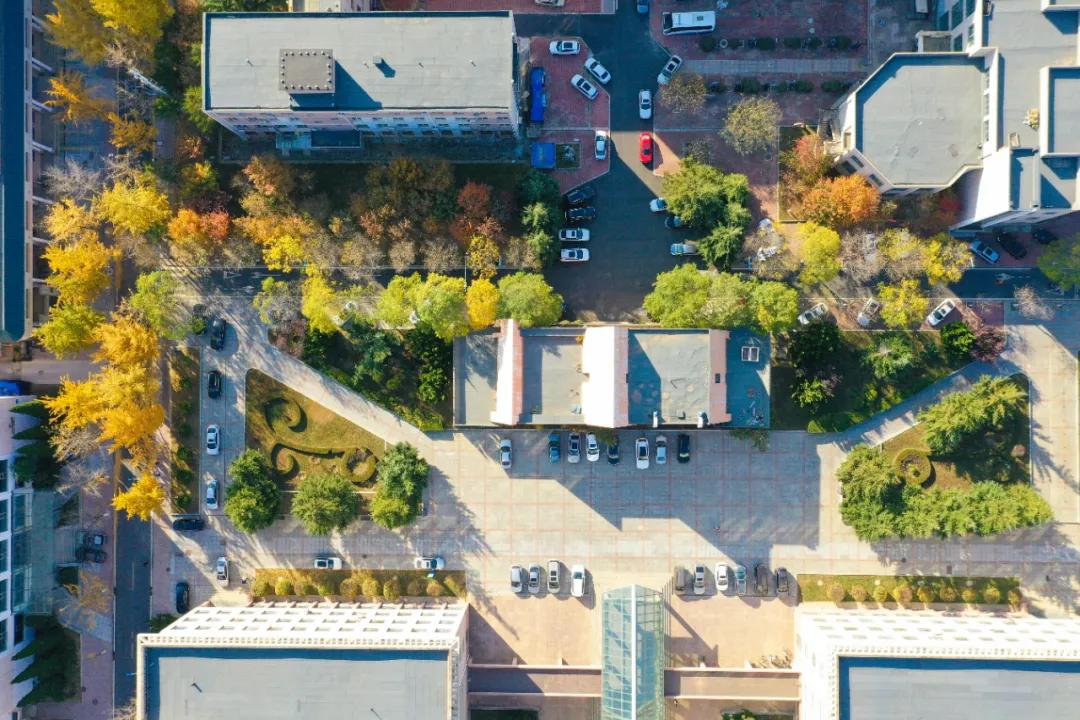 醉美大工秋|读书不觉已秋深，____________