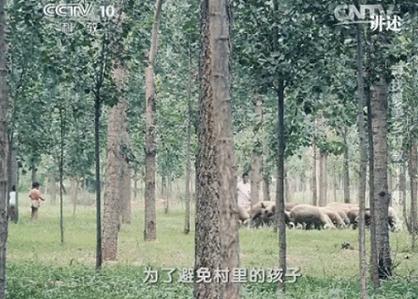 一家四代20多位乡村教师,四代人20多位教师