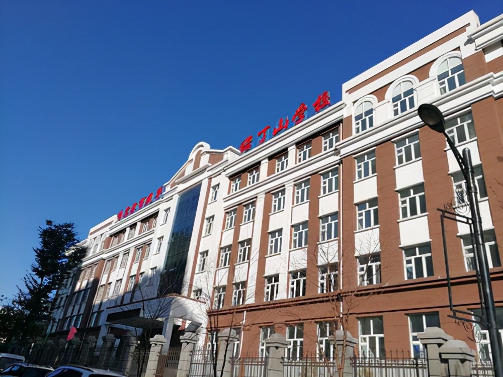 哈尔滨市香坊区和平小学学区房,哈尔滨香坊区学区房一览表