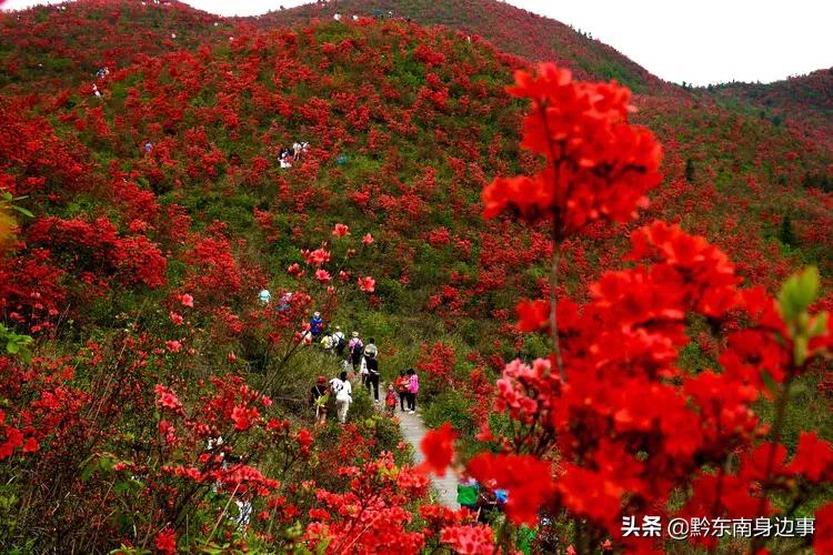 大美黄平，美生好地方