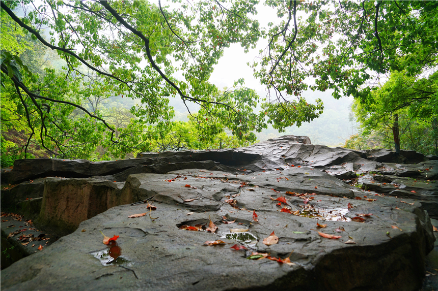 江南水乡旅游攻略四天三晚,温州旅行攻略四天三夜